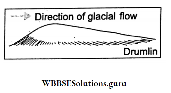 WBBSE Notes For Class 10 Geography And Environment Chapter 1 Exogenetic Processes And Resultant Drumlin