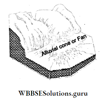 WBBSE Notes For Class 10 Geography And Environment Chapter 1 Exogenetic Processes And Resultant Landforms Alluvial Fan