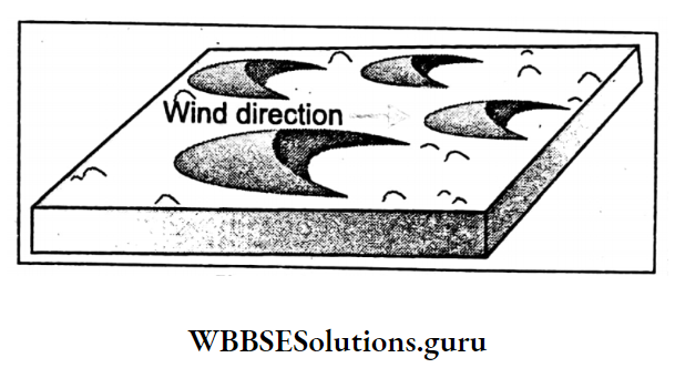WBBSE Notes For Class 10 Geography And Environment Chapter 1 Exogenetic Processes And Resultant Landforms Barkhan
