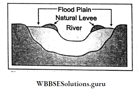 WBBSE Notes For Class 10 Geography And Environment Chapter 1 Exogenetic Processes And Resultant Landforms Flood Plain And Natural Levee