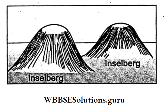 WBBSE Notes For Class 10 Geography And Environment Chapter 1 Exogenetic Processes And Resultant Landforms Inselberg