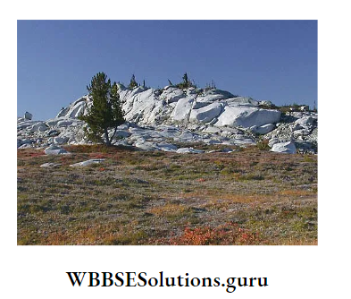 WBBSE Notes For Class 10 Geography And Environment Chapter 1 Exogenetic Processes And Resultant Landforms Roches Mountonnees