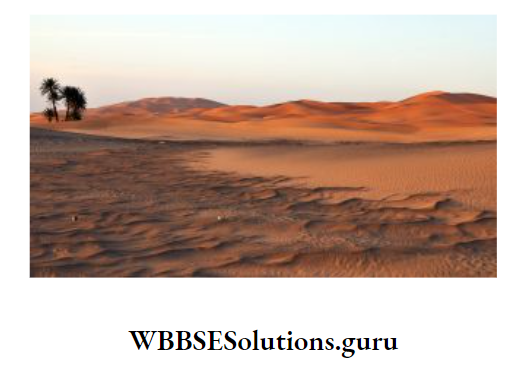 WBBSE Notes For Class 10 Geography And Environment Chapter 1 Exogenetic Processes And Resultant Landforms Sahara Desert