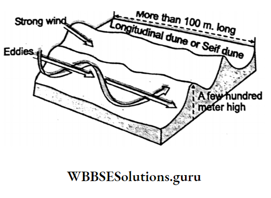 WBBSE Notes For Class 10 Geography And Environment Chapter 1 Exogenetic Processes And Resultant Landforms Self Dunes