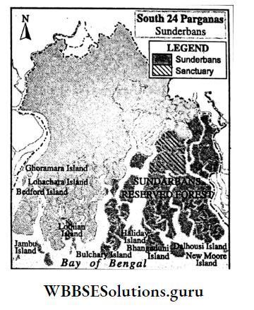 WBBSE Notes For Class 10 Geography And Environment Chapter 1 Exogenetic Processes And Resultant Landforms Sundarbans