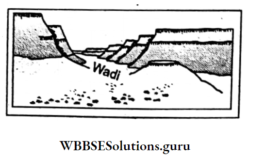 WBBSE Notes For Class 10 Geography And Environment Chapter 1 Exogenetic Processes And Resultant Landforms Wadi