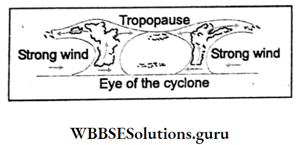 WBBSE Notes For Class 10 Chapter 2 Atmosphere Tropical Cyclones
