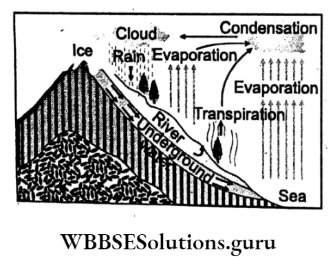 WBBSE Notes For Class 10 Chapter 2 Atmosphere Water Cycle