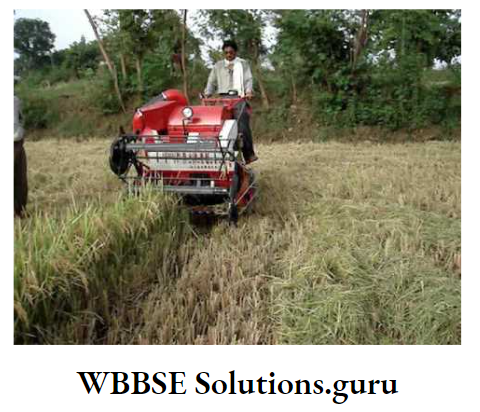 WBBSE Notes For Class 10 Chapter 5 India Economic Environment Rice Harvestor