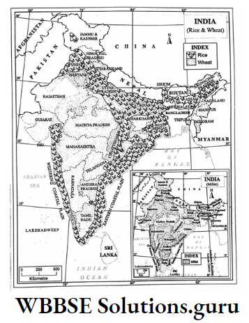 WBBSE Notes For Class 10 Chapter 5 India Economic Environment Rice and Wheat