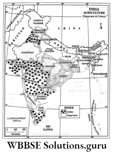 WBBSE Notes For Class 10 Chapter 5 India Economic Environment Sugarcane and Cotton