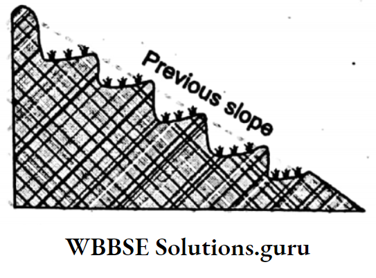 WBBSE Notes For Class 10 Geography Chapter 5 India Terrace Farming