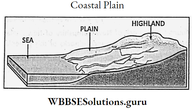 WBBSE Notes For Class 9 Geography and Environment Chapter 4 Geomorphic Processes And Landforms Of The Earth Coastal Plain