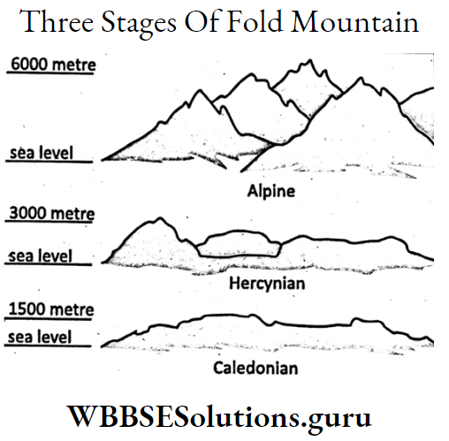 WBBSE Notes For Class 9 Geography and Environment Chapter 4 Geomorphic Processes And Landforms Of The Earth Elementary Three Stages Of Fold Mountain