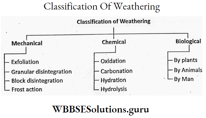 WBBSE Notes For Class 9 Geography and Environment Chapter 5 Weathering Classification Of Weathering