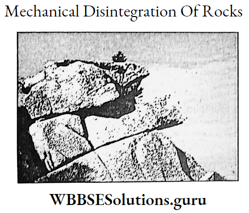 WBBSE Notes For Class 9 Geography and Environment Chapter 5 Weathering Mechanical Disintegration Of Rocks