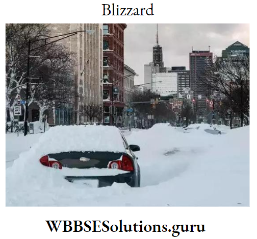 WBBSE Notes For Class 9 Geography and Environment Chapter 6 Hazards And Disasters Blizzard