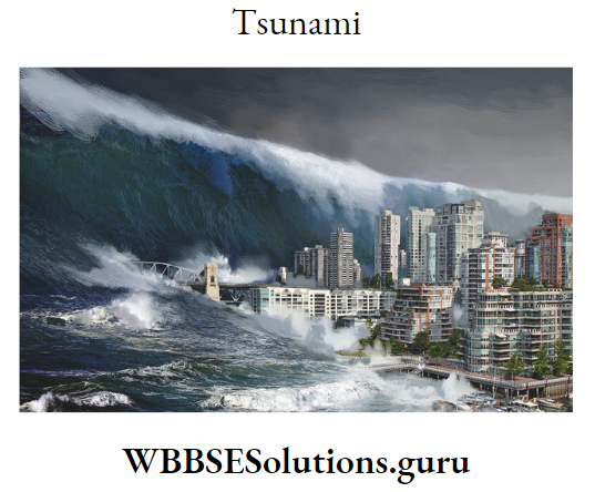 WBBSE Notes For Class 9 Geography and Environment Chapter 6 Hazards And Disasters Tsunami