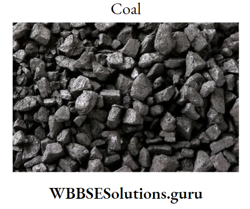 WBBSE Notes For Class 9 Geography and Environment Chapter 7 Resource Of India Coal