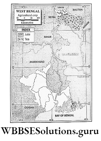 WBBSE Notes For Class 9 Geography and Environment Chapter 8 West Bengal Agricultural Crop In West Bengal