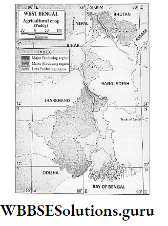 WBBSE Notes For Class 9 Geography and Environment Chapter 8 West Bengal Agricultural Crop (Paddy) In West Bengal