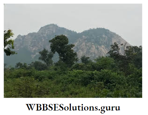 WBBSE Notes For Class 9 Geography and Environment Chapter 8 West Bengal Ayodhya Hill