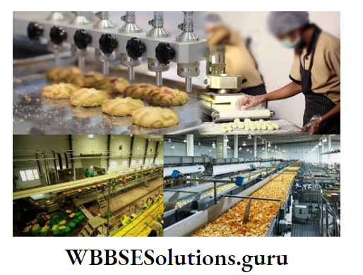 WBBSE Notes For Class 9 Geography and Environment Chapter 8 West Bengal Food Processing Centre