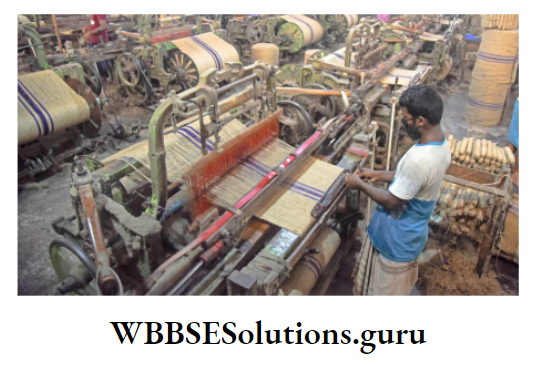 WBBSE Notes For Class 9 Geography and Environment Chapter 8 West Bengal Jute Mill