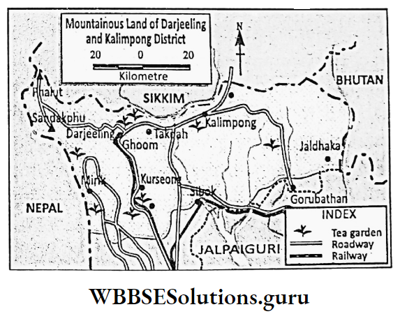 WBBSE Notes For Class 9 Geography and Environment Chapter 8 West Bengal Mountainous Land Darjeeling And Kalimpong District