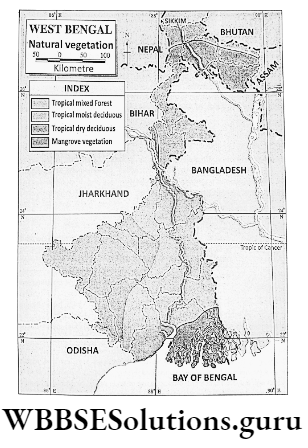WBBSE Notes For Class 9 Geography and Environment Chapter 8 West Bengal Natural Vegetation In West Bengal