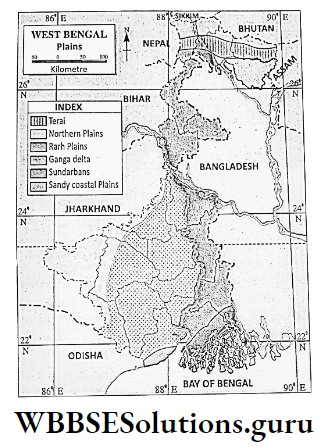 WBBSE Notes For Class 9 Geography and Environment Chapter 8 West Bengal Plains In West Bengal