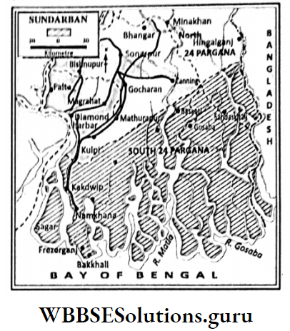 WBBSE Notes For Class 9 Geography and Environment Chapter 8 West Bengal Sundarban