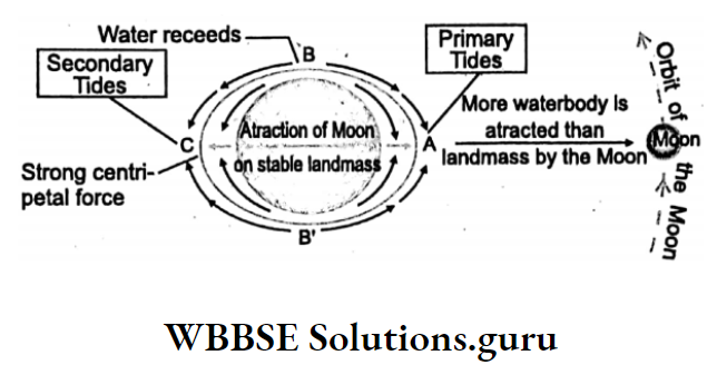 WBBSE Notes for class 10 Geography chapter 3 Hydrosphere Attraction of moon on Tide Formation
