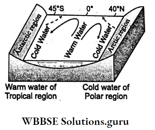 WBBSE Notes for class 10 Geography chapter 3 Hydrosphere Influence of Temperature on ocean currents