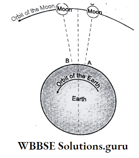 WBBSE Notes for class 10 Geography chapter 3 Hydrosphere Tidal Interval