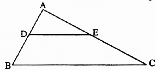WBBSE Solutions For Class 10 Maths Geometry Chapter 3 Similarity Short Answer Question Example 11