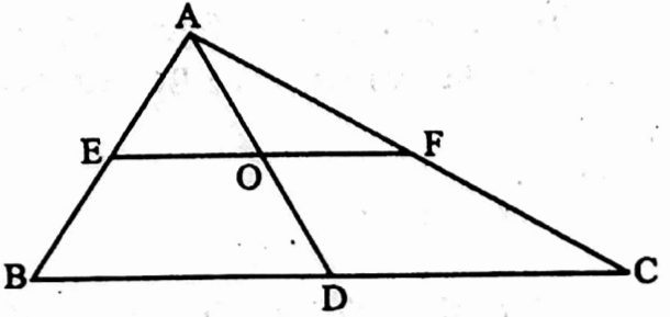 WBBSE Solutions For Class 10 Maths Geometry Chapter 3 Similarity Short Answer Question Example 19