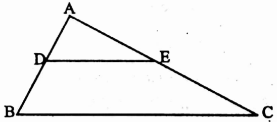 WBBSE Solutions For Class 10 Maths Geometry Chapter 3 Similarity Short Answer Question Example 20
