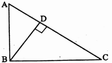 WBBSE Solutions For Class 10 Maths Geometry Chapter 3 Similarity Short Answer Question Example 7
