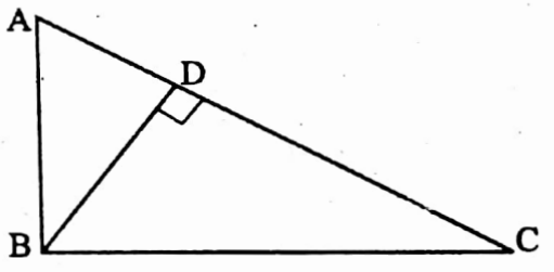 WBBSE Solutions For Class 10 Maths Geometry Chapter 3 Similarity Short Answer Question Example 8