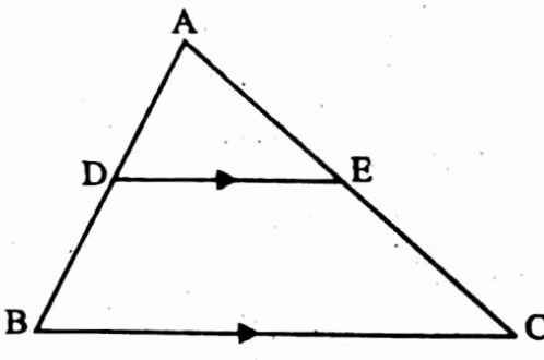 WBBSE Solutions For Class 10 Maths Geometry Chapter 3 Similarity True Or False Example 2