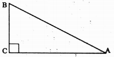 WBBSE Solutions For Class 10 Maths Trigonometry Chapter 2 Trigonometric Ratios And Trigonometric Identities Right Angle Triangle