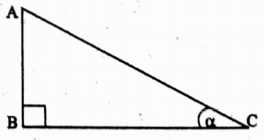 WBBSE Solutions For Class 10 Maths Trigonometry Chapter 2 Trigonometric Ratios And Trigonometric Identities Right Angles Triangle At Angle Alpha