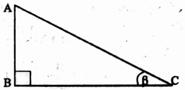 WBBSE Solutions For Class 10 Maths Trigonometry Chapter 2 Trigonometric Ratios And Trigonometric Identities Right Angles Triangle At Angle Beta