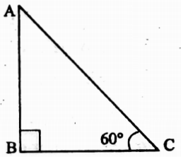 WBBSE Solutions For Class 10 Maths Trigonometry Chapter 4 Application Of Trigonometric Ratios Height And Distance Short Answer Question Example 1
