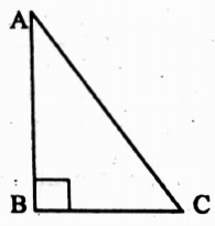 WBBSE Solutions For Class 10 Maths Trigonometry Chapter 4 Application Of Trigonometric Ratios Height And Distance Short Answer Question Example 2
