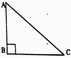 WBBSE Solutions For Class 10 Maths Trigonometry Chapter 4 Application Of Trigonometric Ratios Height And Distance Short Answer Question Example 3
