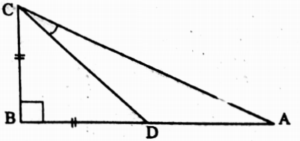 WBBSE Solutions For Class 10 Maths Trigonometry Chapter 4 Application Of Trigonometric Ratios Height And Distance Short Answer Question Example 4