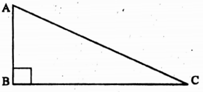 WBBSE Solutions For Class 10 Maths Trigonometry Chapter 4 Application Of Trigonometric Ratios Height And Distance Short Answer Question Example 5