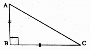 WBBSE Solutions For Class 10 Maths Trigonometry Chapter 4 Application Of Trigonometric Ratios Height And Distance